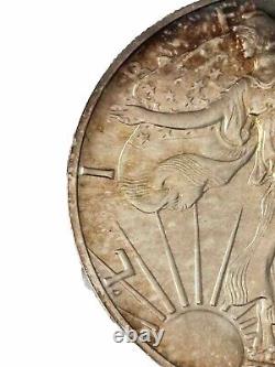 1989 American Silver Eagle Dollar $1 Coin UNC Beautifully Toned
