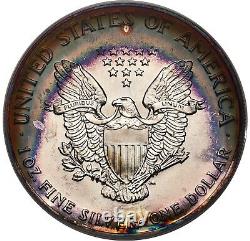 1990 Silver Eagle Dollar PCGS MS67 Beautiful Rainbow Toning Frosty Devices