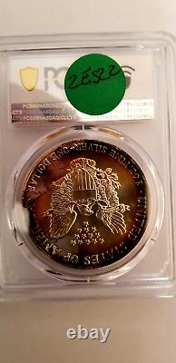 1990 Silver Eagle Monster Toned Ms68