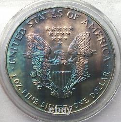 1993 American Eagle 1 oz Toned Silver Dollar PCGS MS66 Toning Bullion E826