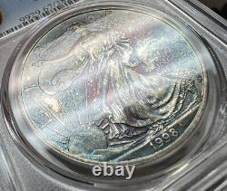 1998 American Silver Eagle PCGS MS67 Nicely Toned Registry Coin TV $1 ASE 1 oz