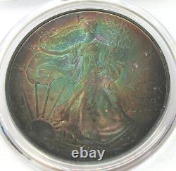 2004 American Eagle 1 oz Silver Dollar PCGS MS69 Toning Toned Coin E559