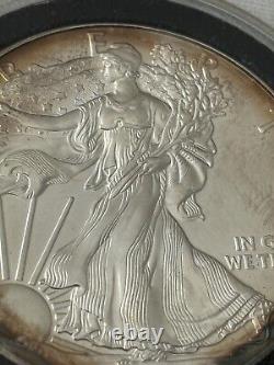 2015 American Silver Eagle Dollar $1 Coin UNC Beautifully Toned