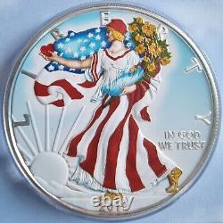 2019 USA 1oz American Silver Eagle USA Flag Color Edition 100 BU 999 box coa