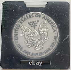 2020 1 Oz 999 Fine Silver Paint It Grey Colorized American Silver Eagle Dollar