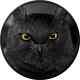 2021 Palau Hunters By Night Eagle Owl 2oz Silver Obsidian Black Mintage Of 888