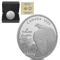 2023 Canada Vantage Point Bald Eagle 2 oz Silver Coin 5500 Mintage