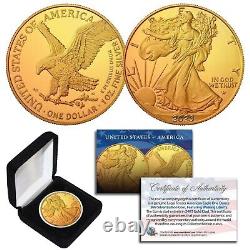 Gold Gilded 2023 American Silver Eagle 1 Oz. 999 Coin with Box