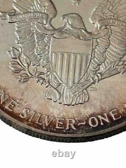 Pièce de 1 dollar American Silver Eagle de 1989 UNC magnifiquement patinée