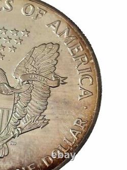 Pièce de 1 dollar American Silver Eagle de 1989 UNC magnifiquement patinée