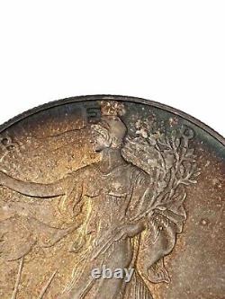 Pièce de 1 dollar American Silver Eagle de 1990 UNC magnifiquement patinée