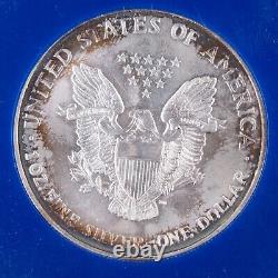 The translation of the title in French is:  <br/>  '1994 American Silver Eagle Vintage GTE Display 1oz Silver. 999 ASE SAE $1'